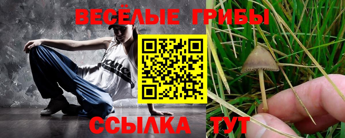где купить наркоту  Вход с VPN  Татарск  Галлюциногенные грибы GOLDEN TEACHER 